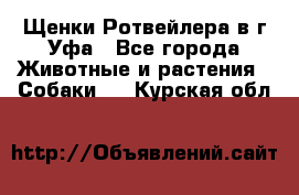 Щенки Ротвейлера в г.Уфа - Все города Животные и растения » Собаки   . Курская обл.